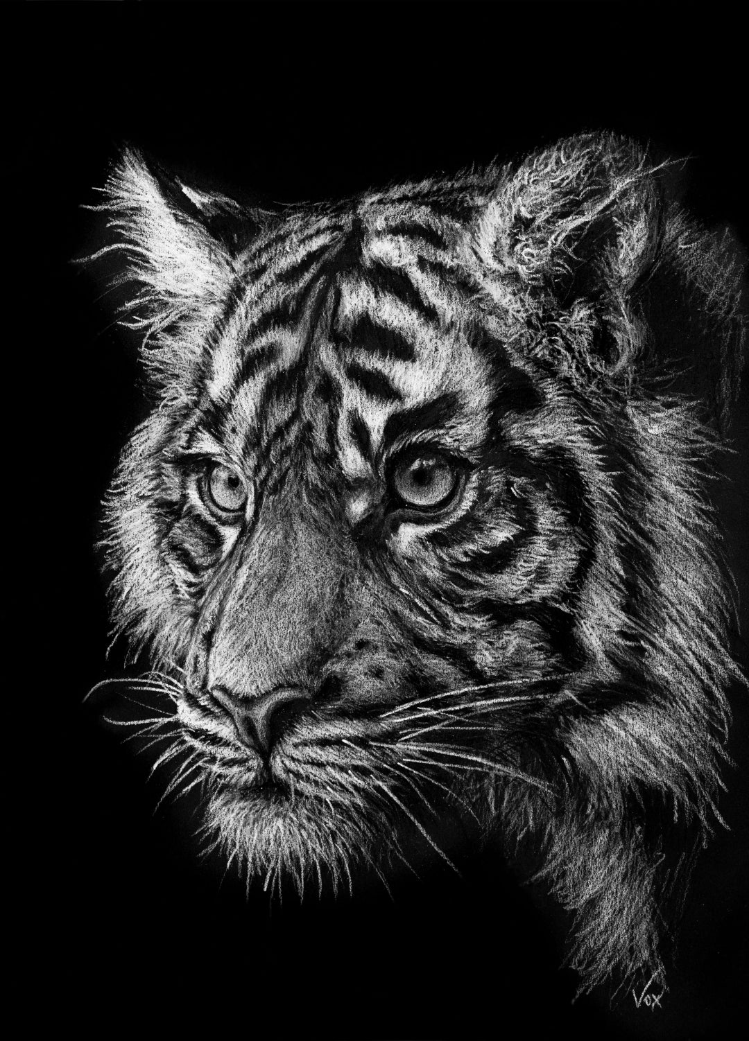 'Know What You Want' Fine Art Print
